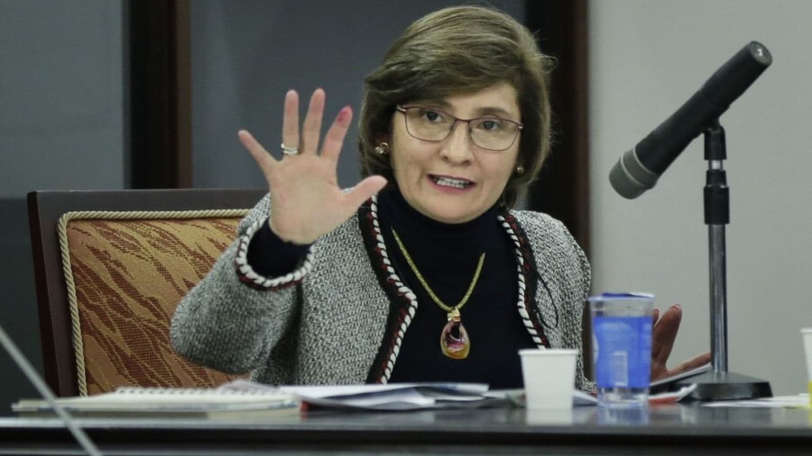 photologuephotos2023-11vicefiscal_martha_mancera_coronelljpeg photologuephotos2023-11vicefiscal_martha_mancera_coronelljpeg