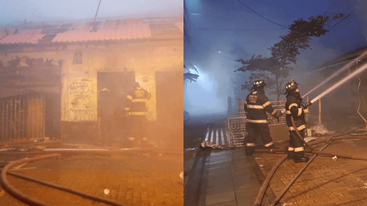 photologuephotos2025-03tamano_de_fotos_45png photologuephotos2025-03tamano_de_fotos_45png