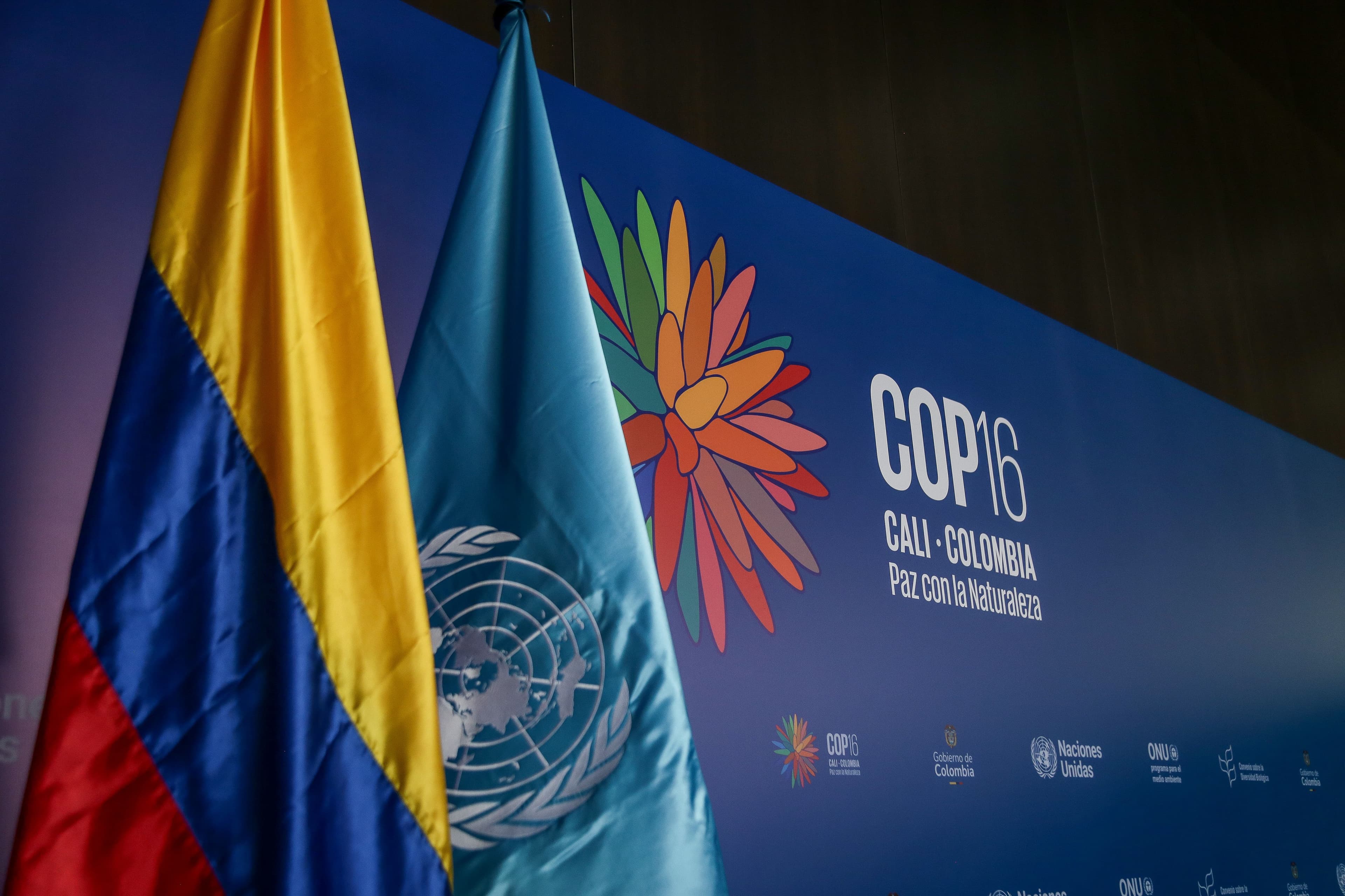 COP 16 REF COP 16 REF