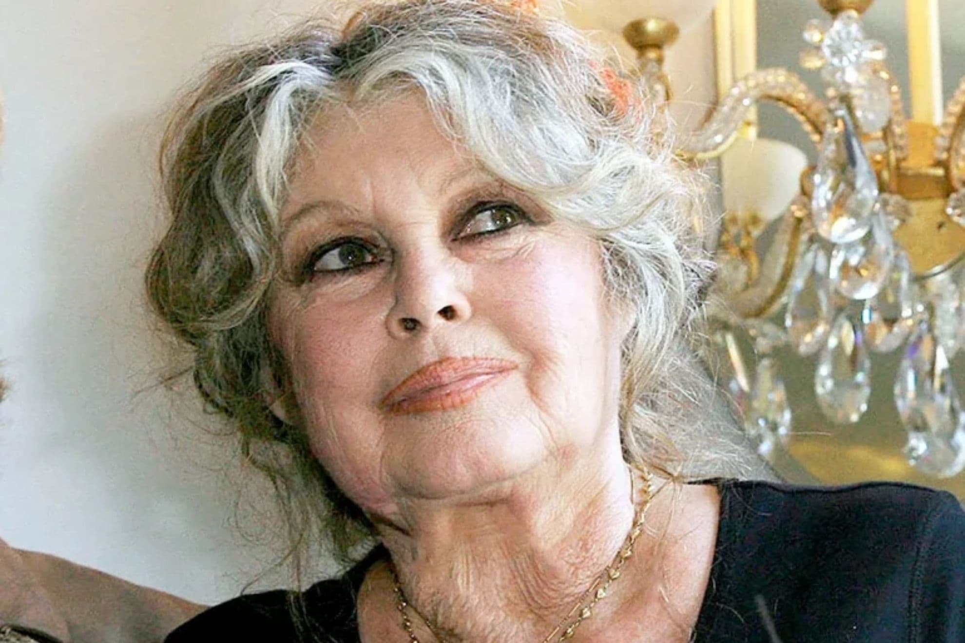 Brigitte Bardot Brigitte Bardot