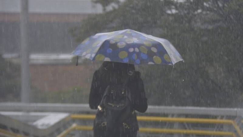 Para el fin de semana llegará un nuevo frente frío. Créditos: Alcaldía de Bogotá 1 Para el fin de semana llegará un nuevo frente frío. Créditos: Alcaldía de Bogotá 1