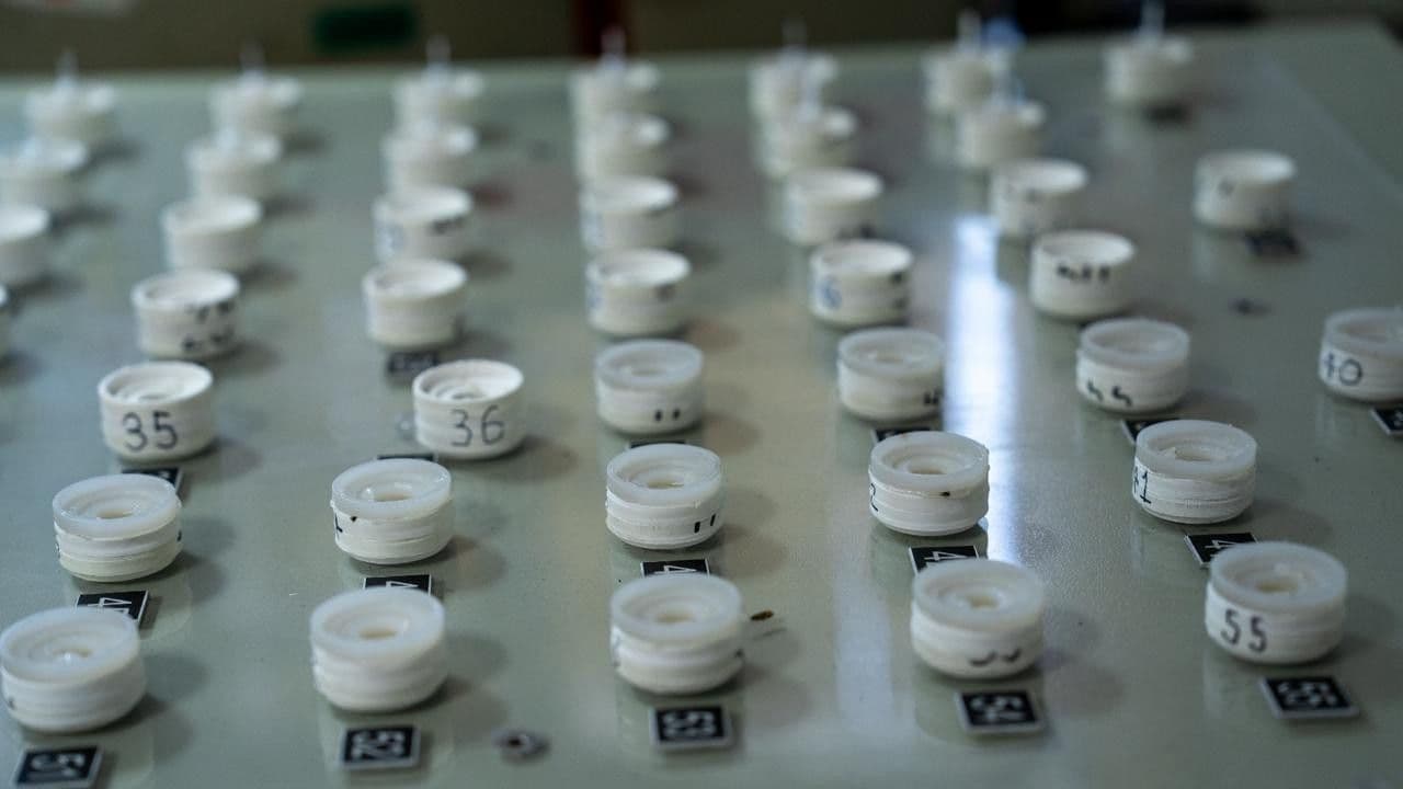 Muestras de radioisótopos en el Laboratorio de Análisis por Activación Neutrónica del Servicio Geológico Colombiano. Créditos: SGC Muestras de radioisótopos en el Laboratorio de Análisis por Activación Neutrónica del Servicio Geológico Colombiano. Créditos: SGC