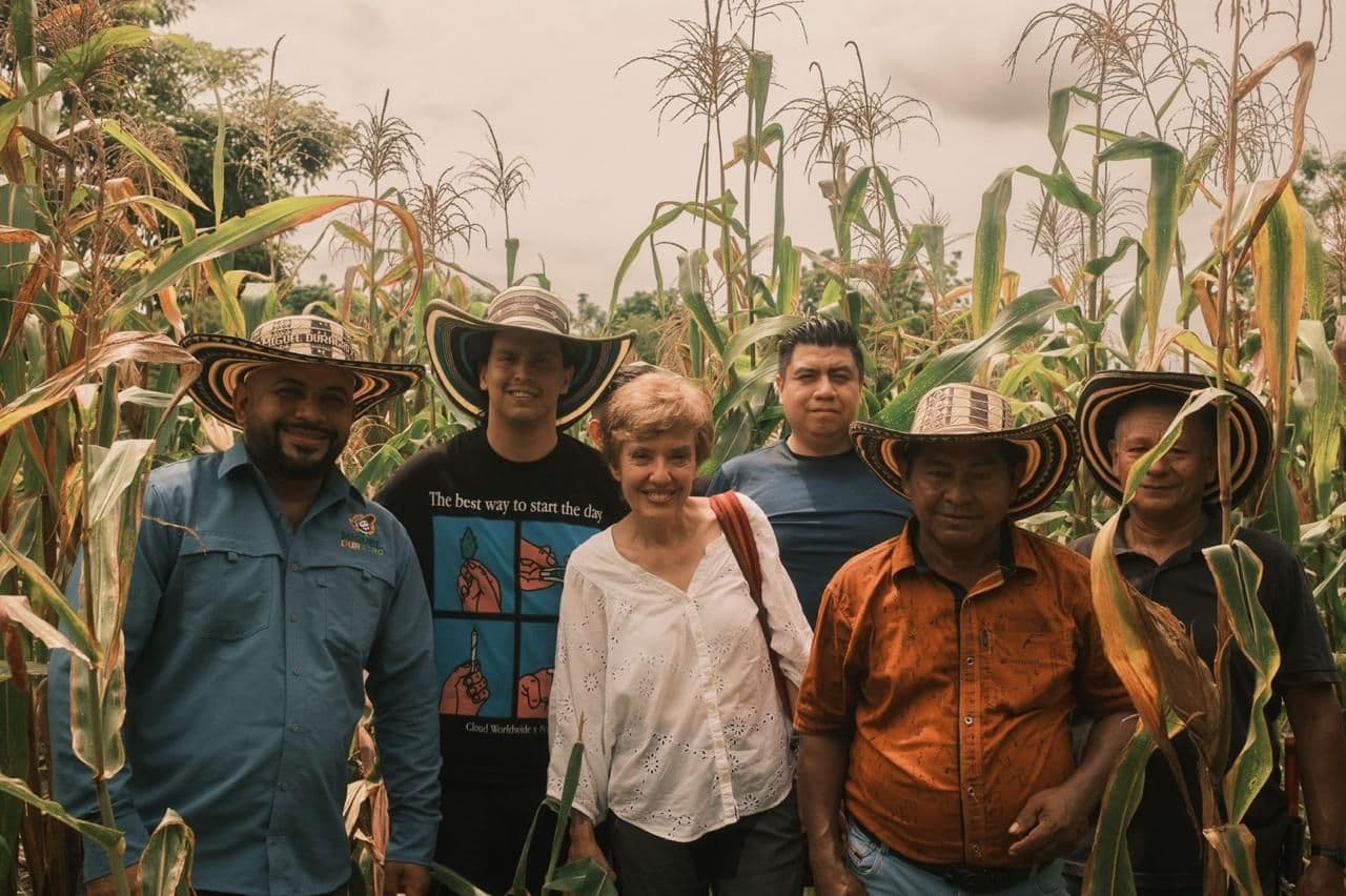 Tacaloa, defensa del maíz nativo Tacaloa, defensa del maíz nativo