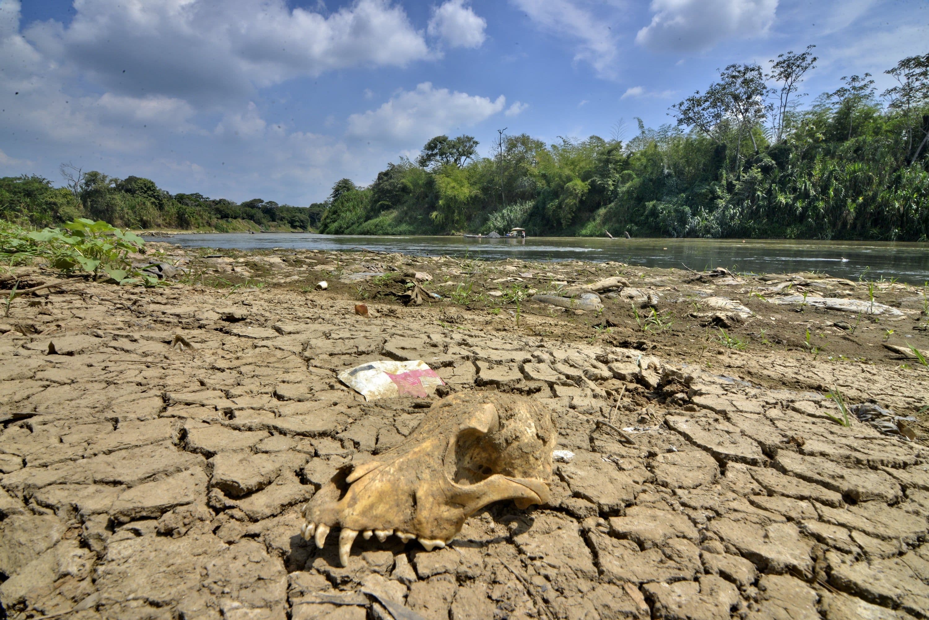 Autoridades ambientales alertan por posible fenómeno de El Niño Autoridades ambientales alertan por posible fenómeno de El Niño
