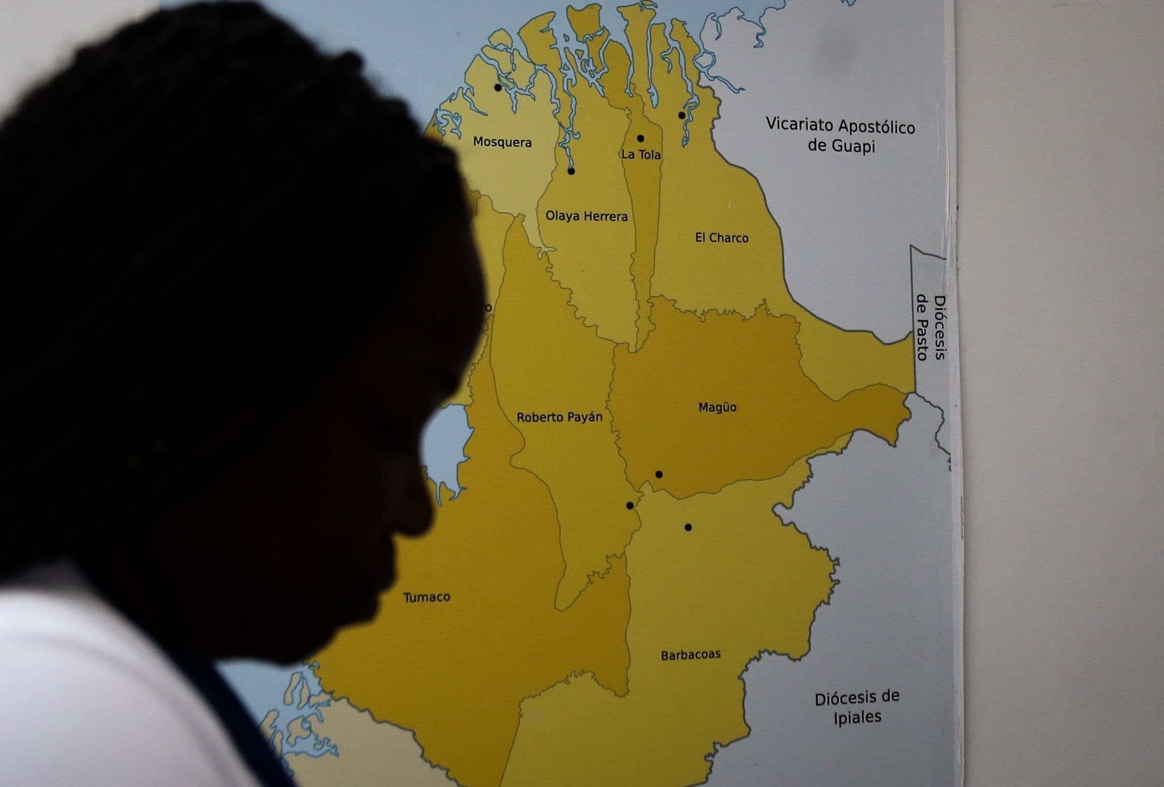 La ONU alertó por la persistencia de asesinatos de líderes sociales en Colombia La ONU alertó por la persistencia de asesinatos de líderes sociales en Colombia