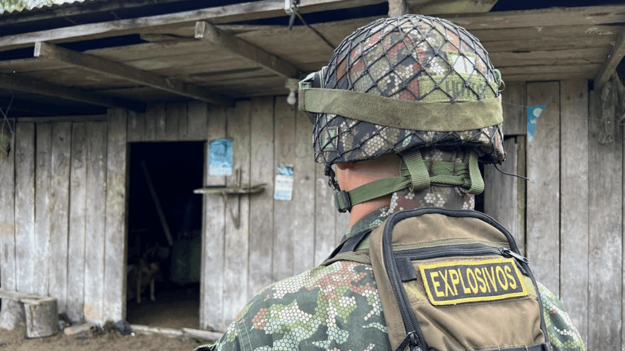 Fuerza de Despliegue Rápido del Ejército Nacional. Fuerza de Despliegue Rápido del Ejército Nacional.