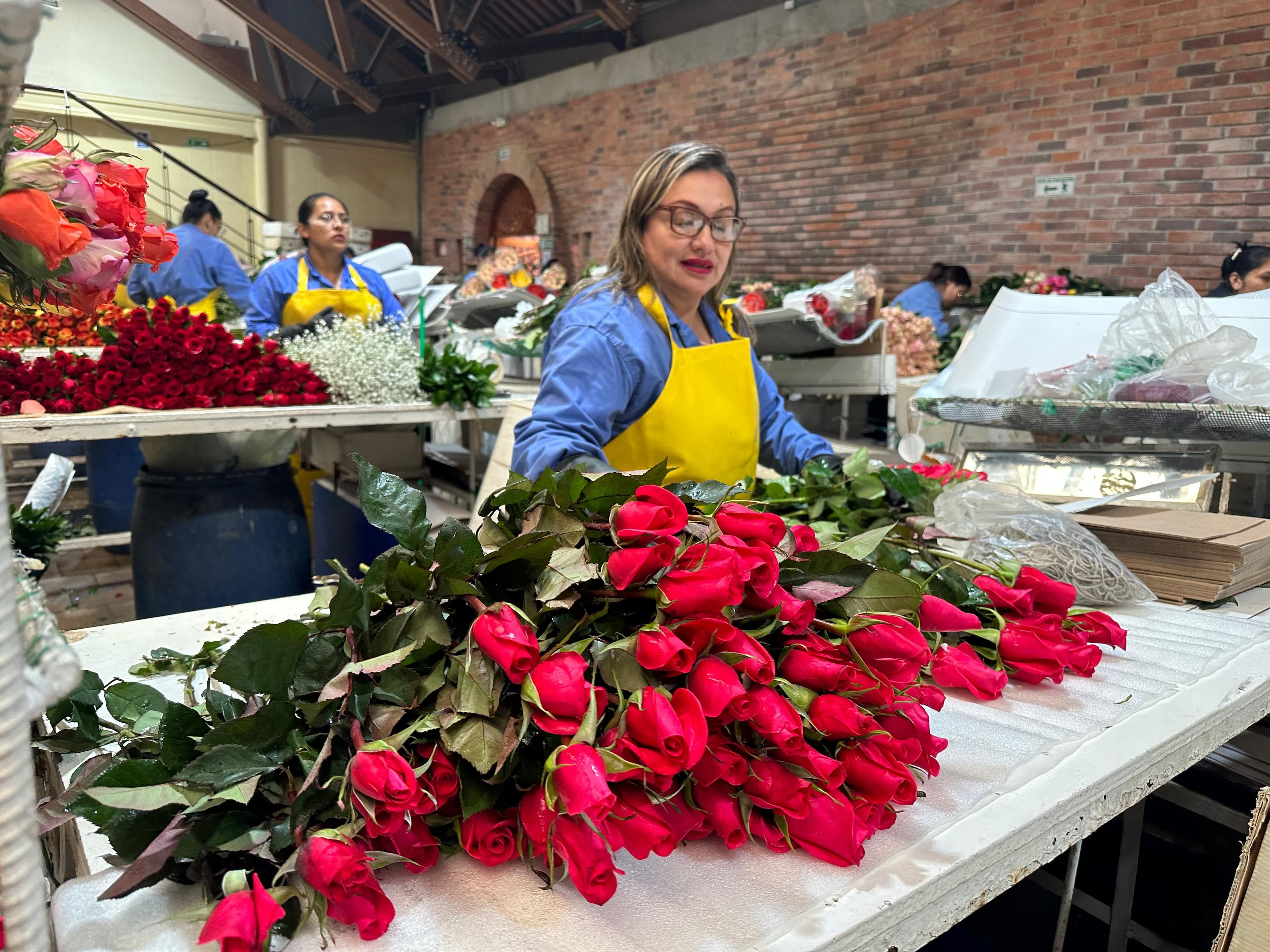 Trabajadores del sector floricultor Trabajadores del sector floricultor