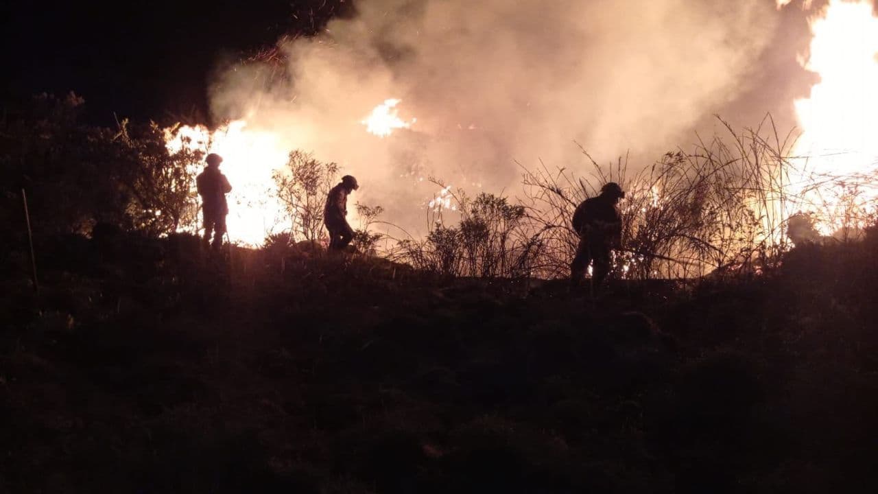 photologuephotos2025-01grave_incendio_forestal_en_el_parque_nacional_natural_chingazajpg photologuephotos2025-01grave_incendio_forestal_en_el_parque_nacional_natural_chingazajpg