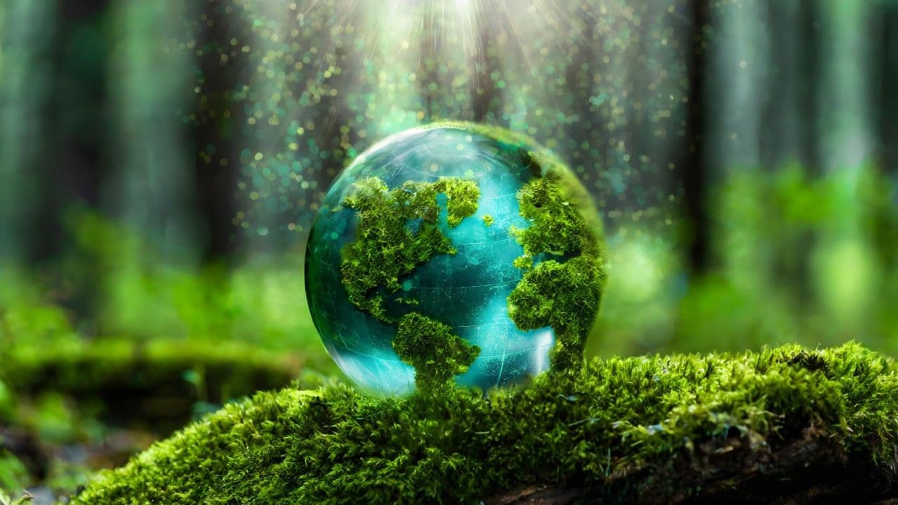 photologuephotos2025-06dia-de-la-tierra-medio-ambiente-globo-verde-en-el-bosque-con-musgo-y-luz-solar-desenfocada-abstracto_1jpg photologuephotos2025-06dia-de-la-tierra-medio-ambiente-globo-verde-en-el-bosque-con-musgo-y-luz-solar-desenfocada-abstracto_1jpg