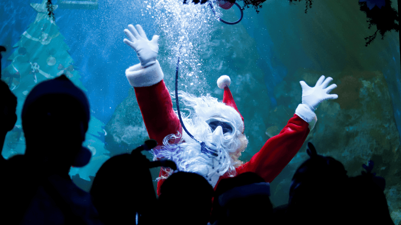 Papá Noel Buzo en Guadalajara Papá Noel Buzo en Guadalajara