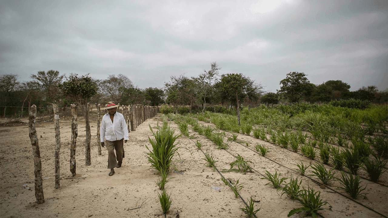 El fenómeno de El Niño El fenómeno de El Niño