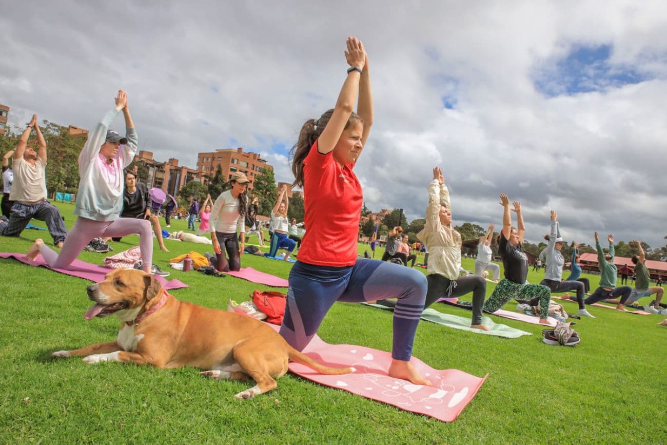 Semana del Bienestar en Bogotá: nueve días para disfrutar del arte, la cultura y más de 100 actividades gratuitas Semana del Bienestar en Bogotá: nueve días para disfrutar del arte, la cultura y más de 100 actividades gratuitas