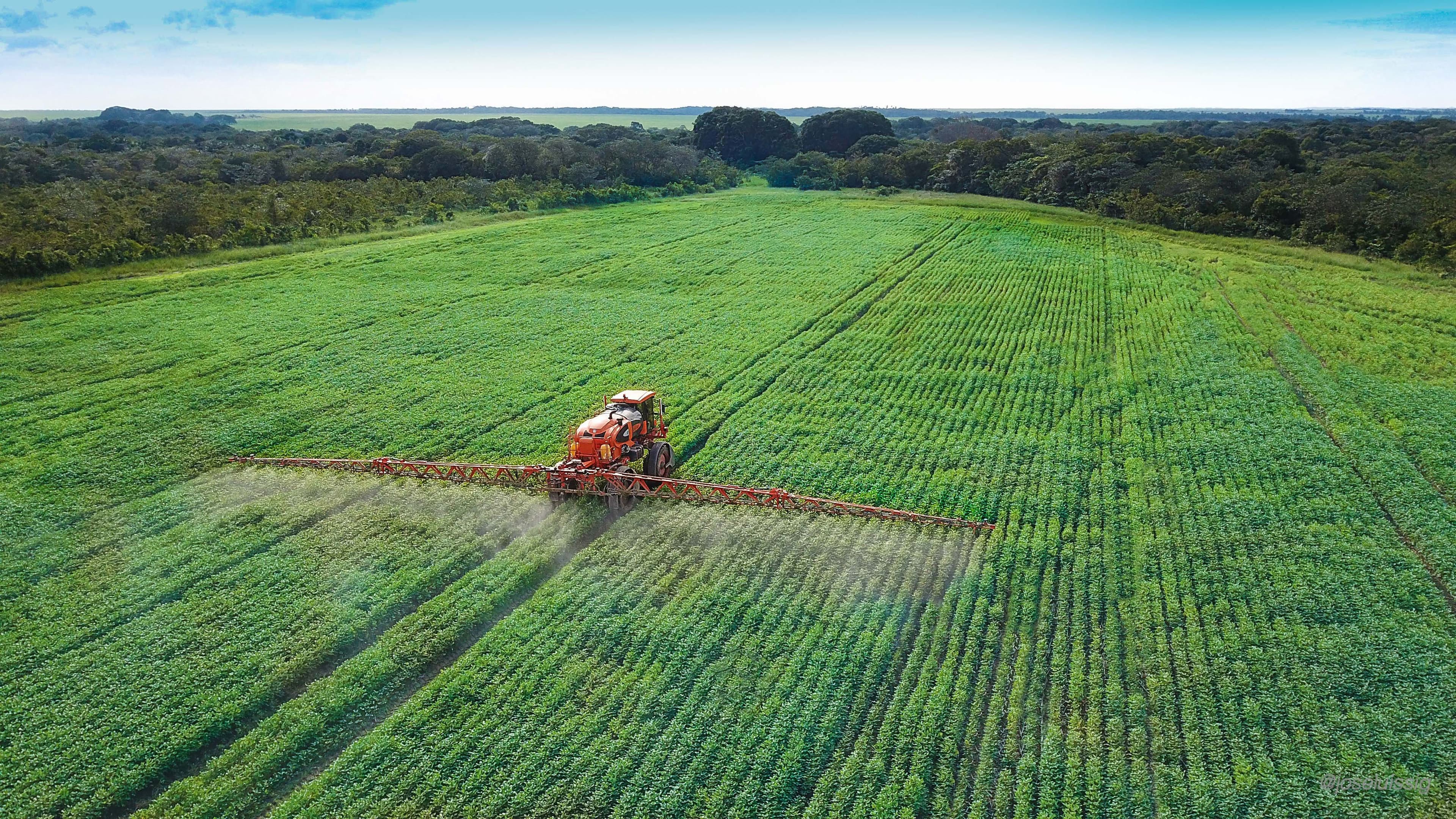 Del campo a la mesa: la cadena que sostiene la seguridad alimentaria en Colombia Del campo a la mesa: la cadena que sostiene la seguridad alimentaria en Colombia