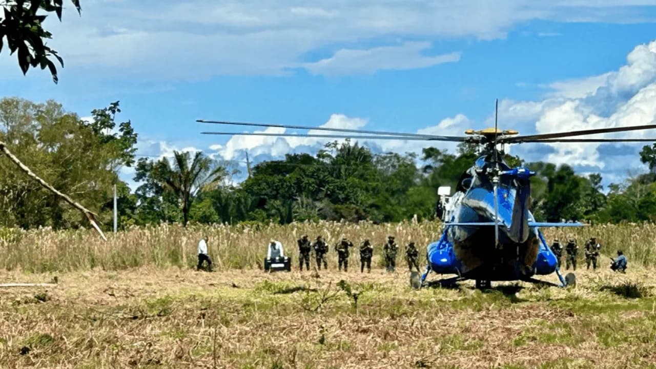 El último viaje a la zona donde 99 personas dejaron las armas El último viaje a la zona donde 99 personas dejaron las armas