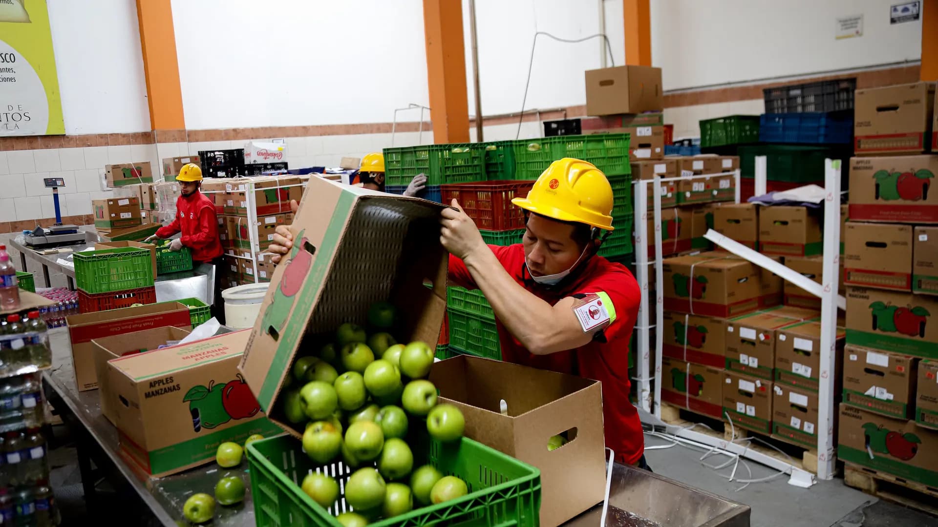 Banco de Alimentos de Bogotá denuncia una página falsa que pide donaciones a nombre de la entidad: "Está suplantando nuestra identidad" Banco de Alimentos de Bogotá denuncia una página falsa que pide donaciones a nombre de la entidad: "Está suplantando nuestra identidad"