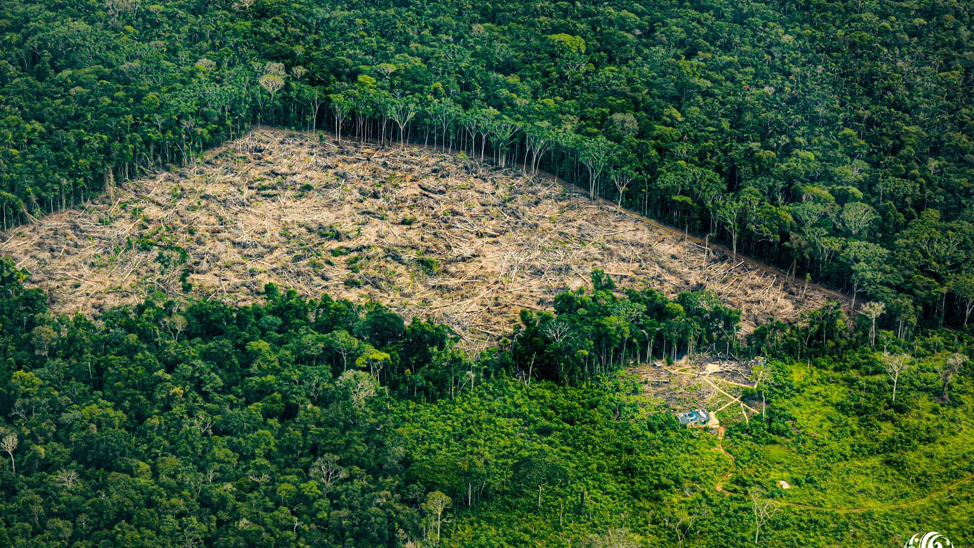 Agenda estratégica para la Amazonía colombiana Agenda estratégica para la Amazonía colombiana