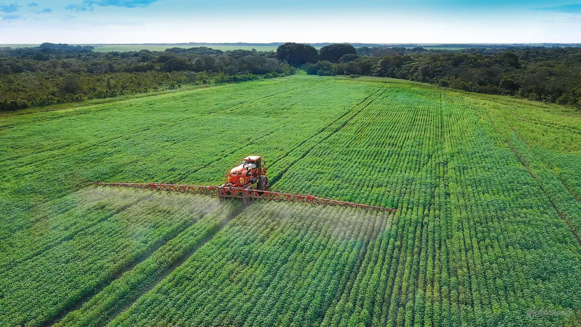 Del campo a la mesa: la cadena que sostiene la seguridad alimentaria en Colombia Del campo a la mesa: la cadena que sostiene la seguridad alimentaria en Colombia