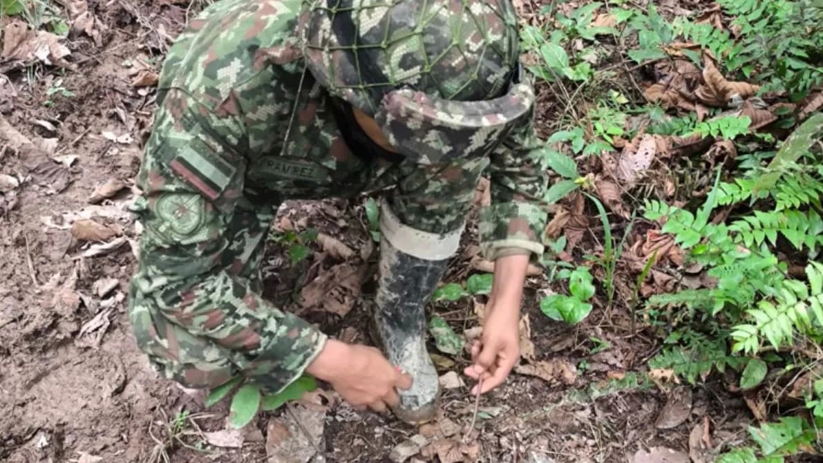 Denuncian instalación de cuatro artefactos explosivos del ELN en un camino veredal de Arauca Denuncian instalación de cuatro artefactos explosivos del ELN en un camino veredal de Arauca