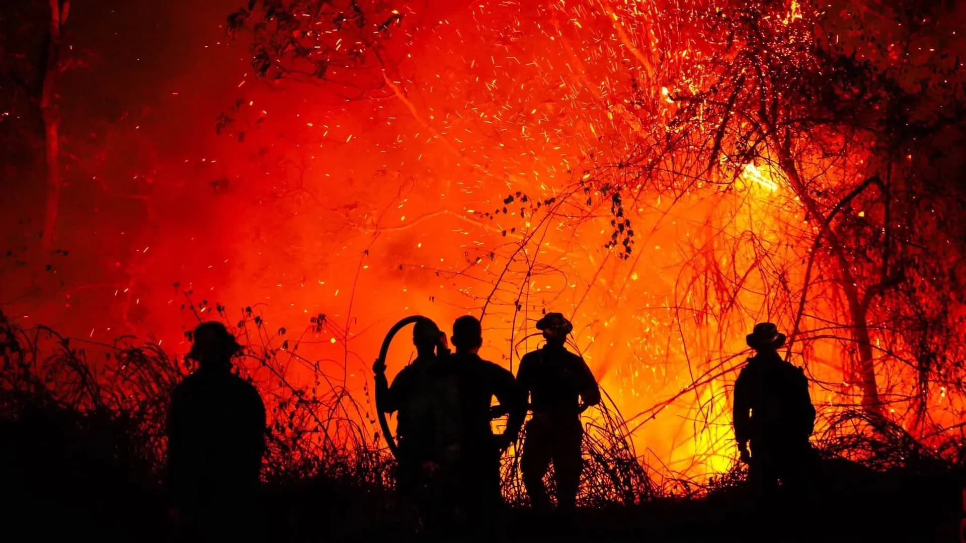 Alerta por incendios forestales en Colombia: 12 focos siguen activos en Tolima, Huila y Caldas Alerta por incendios forestales en Colombia: 12 focos siguen activos en Tolima, Huila y Caldas