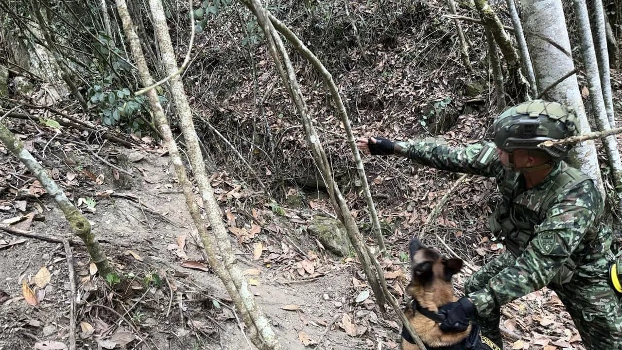 Foto: Ejército Nacional Foto: Ejército Nacional