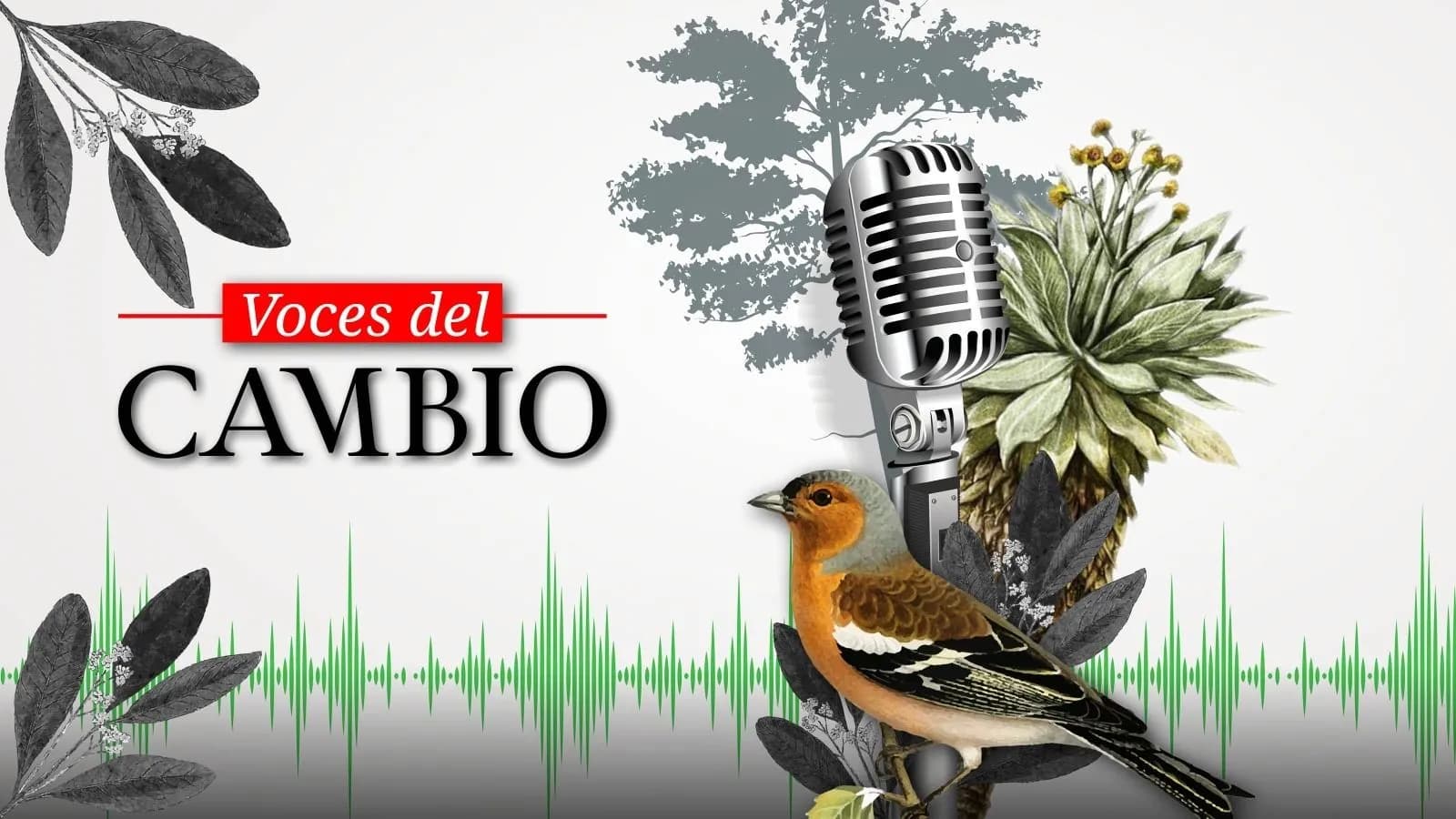Voces de Cambio Voces de Cambio