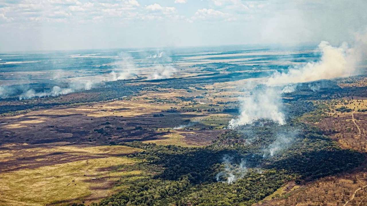 Incendios forestales en Colombia: ¿por qué esta temporada es atípica y qué hacer con los ecosistemas afectados? Incendios forestales en Colombia: ¿por qué esta temporada es atípica y qué hacer con los ecosistemas afectados?